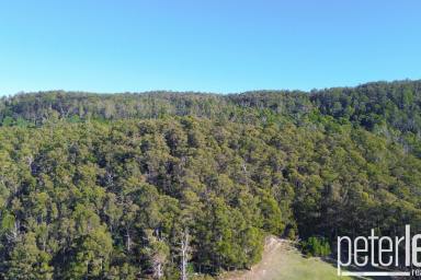 Farm For Sale - TAS - Karoola - 7267 - Spectacular Views on 20 Hectares  (Image 2)