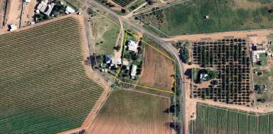 Farm For Sale - VIC - Red Cliffs - 3496 - LIFESTYLE OPPORTUNTIY  (Image 2)