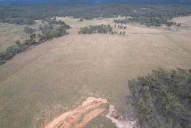 Farm For Sale - NSW - Merriwa - 2329 - Gently Undulating Farm!  (Image 2)