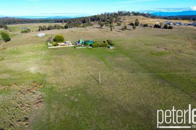 Farm For Sale - TAS - Hadspen - 7290 - 2.5ha of  residential land in prime location  (Image 2)