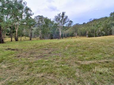 Farm For Sale - VIC - Dargo - 3862 - ENJOY THE HIGH COUNTRY  (Image 2)