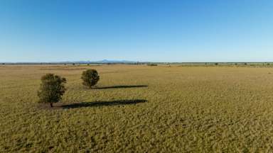 Farm Sold - NSW - Moree - 2400 - Under Offer  (Image 2)