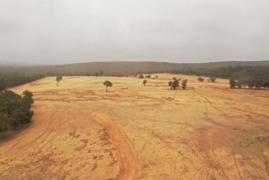 Farm For Sale - WA - Bowelling - 6225 - Forestry or Mixed Farming?  (Image 2)