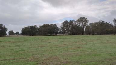 Farm Sold - WA - Bakers Hill - 6562 - Escape to Your Own Slice of Paradise in Bakers Hill  (Image 2)