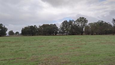 Farm For Sale - WA - Bakers Hill - 6562 - Escape to Your Own Slice of Paradise in Bakers Hill  (Image 2)