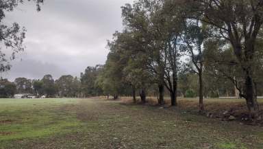 Farm Sold - WA - Bakers Hill - 6562 - Escape to Your Own Slice of Paradise in Bakers Hill  (Image 2)