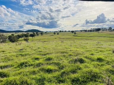 Farm For Sale - NSW - Kingstown - 2358 - Large scale grazing property with quality infrastructure  (Image 2)