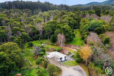 Farm For Sale - VIC - Millgrove - 3799 - THE ULTIMATE TREE CHANGE DREAM ON OVER 9 ACRES app.  (Image 2)