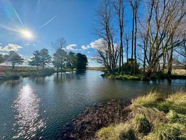 Farm Sold - NSW - Goulburn - 2580 - "KELLANA PINES" GOULBURN - 268 ACRES - 108 HECTARES.  (Image 2)