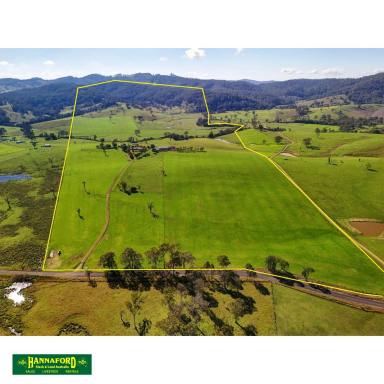 Farm For Sale - NSW - Waukivory - 2422 - IVORYVALE  (Image 2)