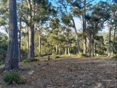 Farm Sold - TAS - Sloping Main - 7186 - Tranquility, trees, ponds and birdsong. An "Off Grid" location  (Image 2)