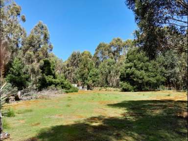 Farm Sold - TAS - Sloping Main - 7186 - Tranquility, trees, ponds and birdsong. An "Off Grid" location  (Image 2)