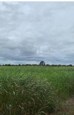 Woltmanns and Paines Road , Durong QLD 4610