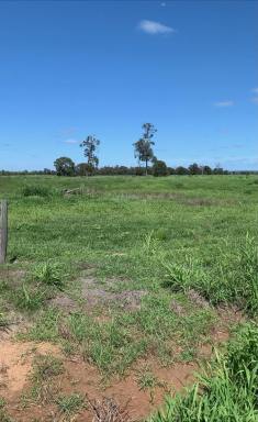 Farm For Sale - QLD - Durong - 4610 - HEAVY MELON HOLE, BELAH AND WILGA COUNTRY, DURONG  (Image 2)