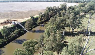 Farm For Sale - NSW - Narromine - 2821 - Macquarie River Irrigation Gem  (Image 2)