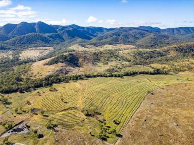 Farm For Sale - QLD - Biggenden - 4621 - "ROCK CREEK" IDEAL CATTLE STUD/FEED LOT  (Image 2)