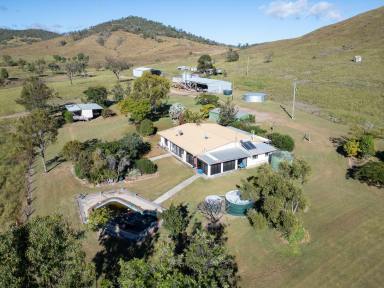 Farm For Sale - QLD - Biggenden - 4621 - "ROCK CREEK" IDEAL CATTLE STUD/FEED LOT  (Image 2)