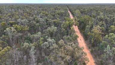 Farm For Sale - QLD - Boondandilla - 4406 - Cheap Breeder Country - Close To Markets  (Image 2)