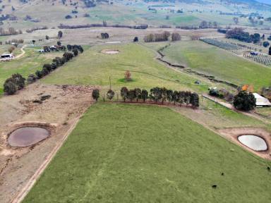 Farm For Sale - NSW - Gilmore - 2720 - A RARE OPPORTUNITY  (Image 2)