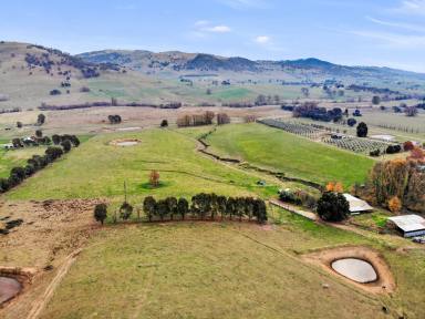 Farm For Sale - NSW - Gilmore - 2720 - A RARE OPPORTUNITY  (Image 2)