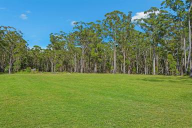 Farm For Sale - NSW - Verges Creek - 2440 - Discover Grandeur at East Edge Estate: Where Size Reigns Supreme  (Image 2)