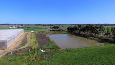 Farm For Sale - VIC - Cobram - 3644 - Commercial North Victorian Hydroponic Business Opportunity - 36.34 Ha (90 Acres)  (Image 2)