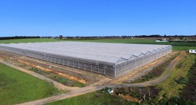 Farm For Sale - VIC - Cobram - 3644 - Commercial North Victorian Hydroponic Business Opportunity - 36.34 Ha (90 Acres)  (Image 2)