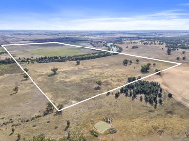 Farm For Sale - NSW - Lalalty - 3644 - "Boona" -119.6 Ha (295 Acres) - Ennals Road Barooga  (Image 2)