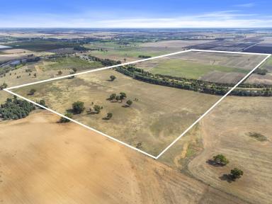 Farm For Sale - NSW - Lalalty - 3644 - "Boona" -119.6 Ha (295 Acres) - Ennals Road Barooga  (Image 2)