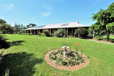 Farm For Sale - VIC - Cobram - 3644 - Fantastic Location Close To Town & the Murray River  (Image 2)