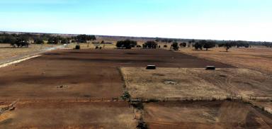 Farm For Sale - VIC - Muckatah - 3644 - Great Location - Close to Town -7.88 Ha (19.5 Acres)  (Image 2)