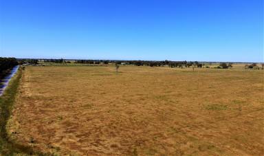 Farm For Sale - VIC - Cobram - 3644 - Smaller Grazing/Cropping Opportunity - 29.15 Ha (72 Acres)  (Image 2)