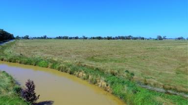 Farm For Sale - VIC - Cobram - 3644 - Smaller Grazing/Cropping Opportunity - 29.15 Ha (72 Acres)  (Image 2)