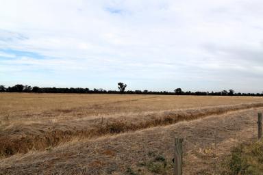 Farm For Sale - VIC - Katandra West - 3634 - 13.32 Ha (32.9 Acres) Smaller grazing/cropping opportunity  (Image 2)