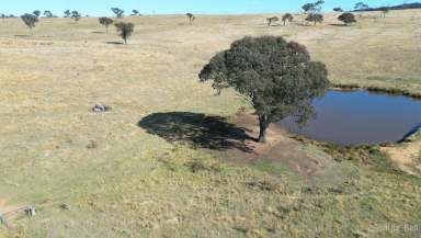 Farm Sold - NSW - Gunning - 2581 - Farming or Grazing in a Choice Location  (Image 2)