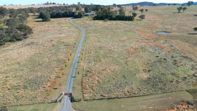 Farm Auction - NSW - Gunning - 2581 - Enviable Country Lifestyle  (Image 2)