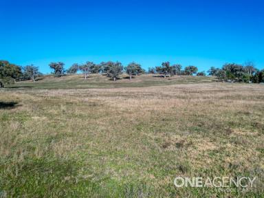 Farm For Sale - NSW - Wallabadah - 2343 - Approx 3.93 Acres available for your next purchase  (Image 2)