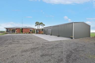 Farm For Sale - VIC - Princetown - 3269 - IMMACULATE, LOW MAINTENANCE AND SHEDS GALORE!  (Image 2)