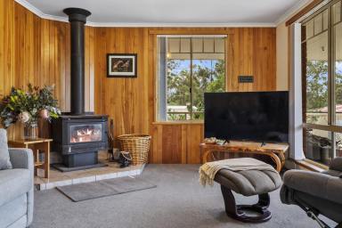 Farm For Sale - TAS - Orford - 7190 - Country meets coastal  (Image 2)