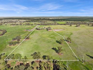 Farm For Sale - VIC - Goornong - 3557 - Beautiful allotment, titled and ready to go  (Image 2)