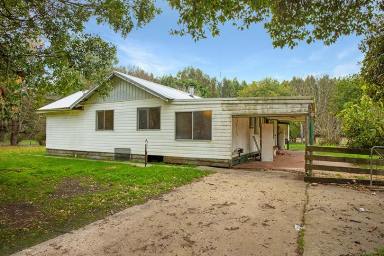 Farm For Sale - VIC - Drumborg - 3304 - Affordable Country Lifestyle  (Image 2)