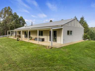 Farm For Sale - VIC - Wonga - 3960 - Modern, Energy-Efficient Homestead Offers Serene Self-Sufficiency  (Image 2)