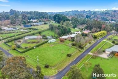 Farm For Sale - VIC - Warragul - 3820 - Room For A Pony  (Image 2)
