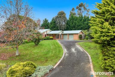 Farm For Sale - VIC - Warragul - 3820 - Room For A Pony  (Image 2)