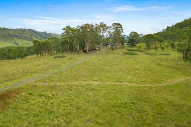 Farm For Sale - NSW - Weismantels - 2415 - STROUD & GLOUCESTER ONLY MINUTES AWAY  (Image 2)