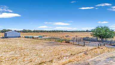 Farm Sold - WA - Boyanup - 6237 - Under Contract by Paul Clarke  (Image 2)