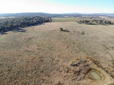 Farm For Sale - NSW - Grenfell - 2810 - Offering rural land across 11.84 hectares (approx 29.25 acres)  (Image 2)