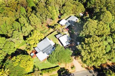 Farm Sold - QLD - Palmwoods - 4555 - Palmwoods Acreage Gem  (Image 2)