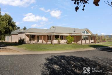 Farm For Sale - NSW - Gulgong - 2852 - INCREDIBLE IMPROVEMENTS, GREAT LAND AND LOCATION!  (Image 2)