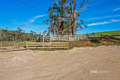 Farm For Sale - TAS - Redpa - 7330 - Excellent Opportunity  (Image 2)